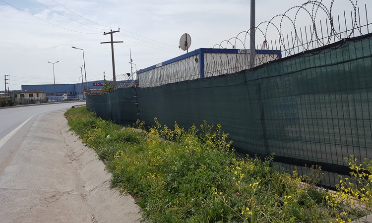 Delikli Jüt Branda
