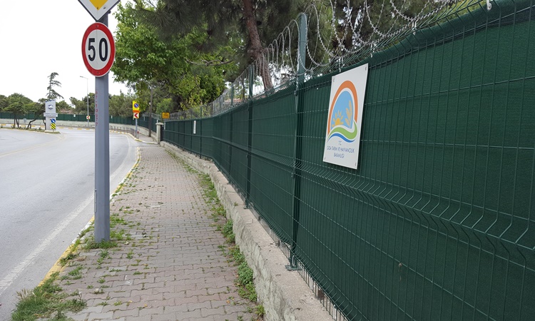 Delikli Jüt Branda